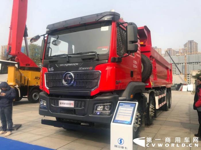 陜汽德龍M3000S 8×4 公路標(biāo)準(zhǔn)版自卸車.jpg